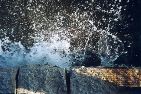 photo, 30 x 45 cm