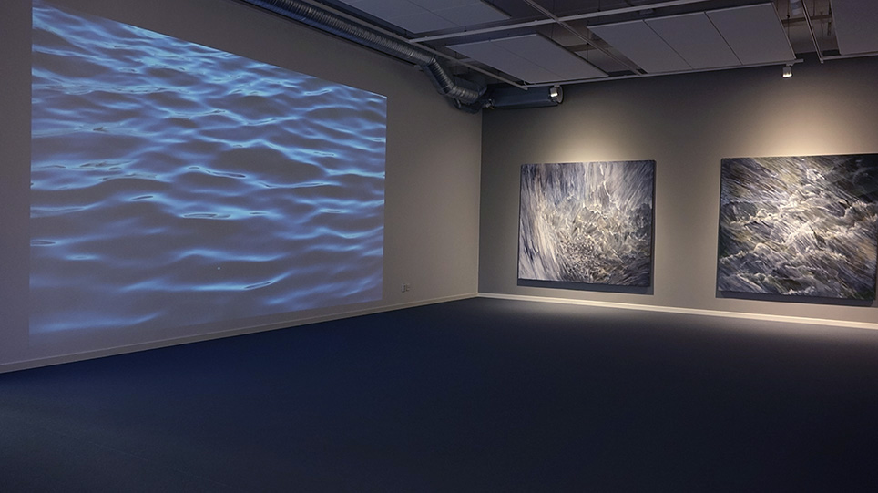 video ann frossen